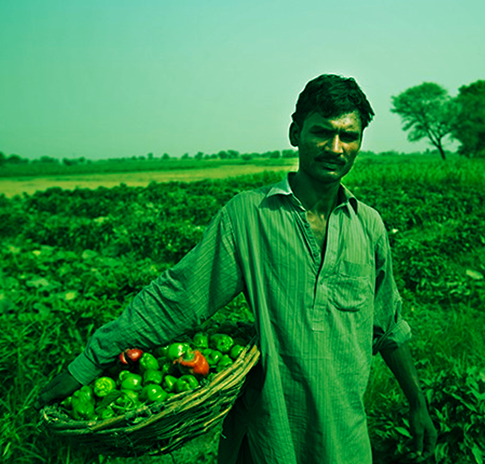 Help Akhuwat to end poverty